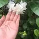 Võ Yến Nhi