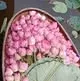 Huyền Chè