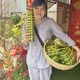 Hoàng Thanh