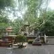 Chánh Niệm