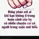 Cuộc Sống Muôn Màu