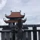 Nấm's Lùn's