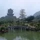 Tím Thương