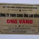 Bảo Trí Hoàng