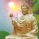 Ngô Thị Cúc